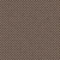 CHARLOTTE 2137 111 — Chamois 111
