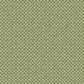 CHARLOTTE 2137 103 — Tilleul 103