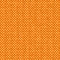 CHARLOTTE 2137 15 — Orange 15
