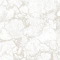 CARRARA 2168 96 — Perle 96