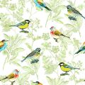 OISEAUX 2205 92 — Mousse 92