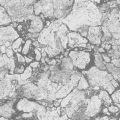 CARRARA 2168 97 — Gris 97