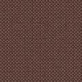 CHARLOTTE 2137 55 — Chataigne 55