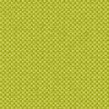 CHARLOTTE 2137 62 — Anis 62