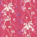 KIMI 125 81 — Framboise 81