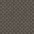 CHARLOTTE 2137 107 — Terre 107