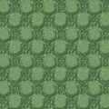 NAUTSI 2079 24 — Vert 24