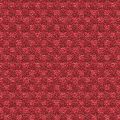ASKA 2077 21 — Rouge 21