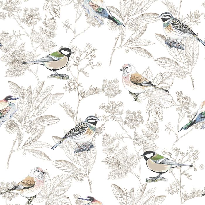 OISEAUX