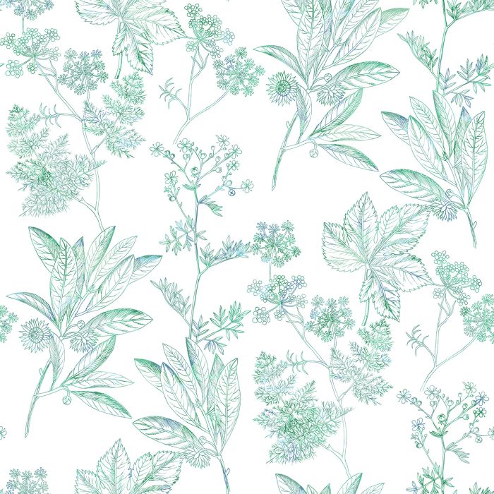 HERBIER