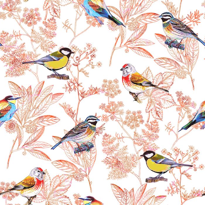 OISEAUX