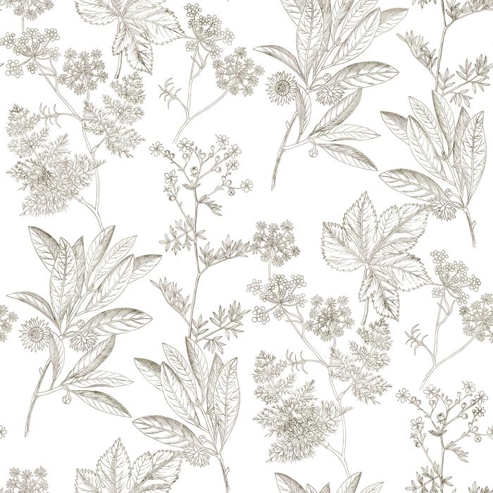 HERBIER