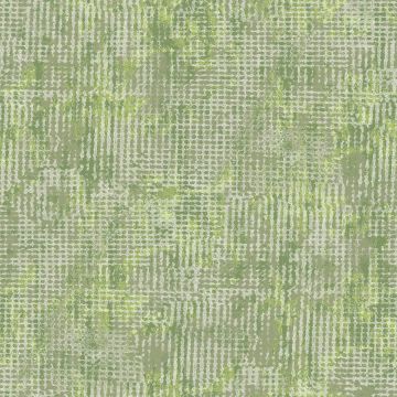 6082