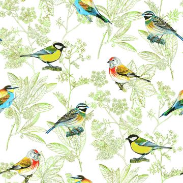 OISEAUX