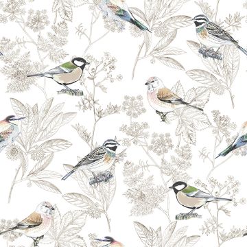 OISEAUX