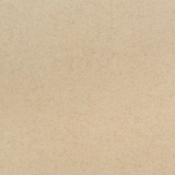 VEGA ELAINA 2165