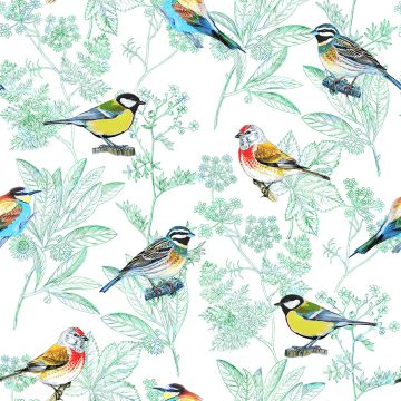OISEAUX