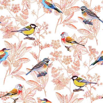 OISEAUX